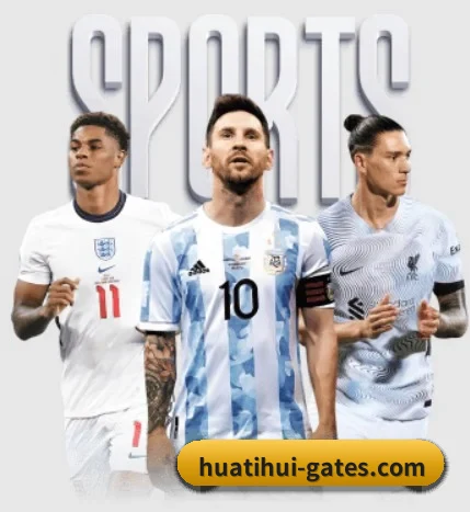 五大服务分区,信息按项目分类 | HTH sports